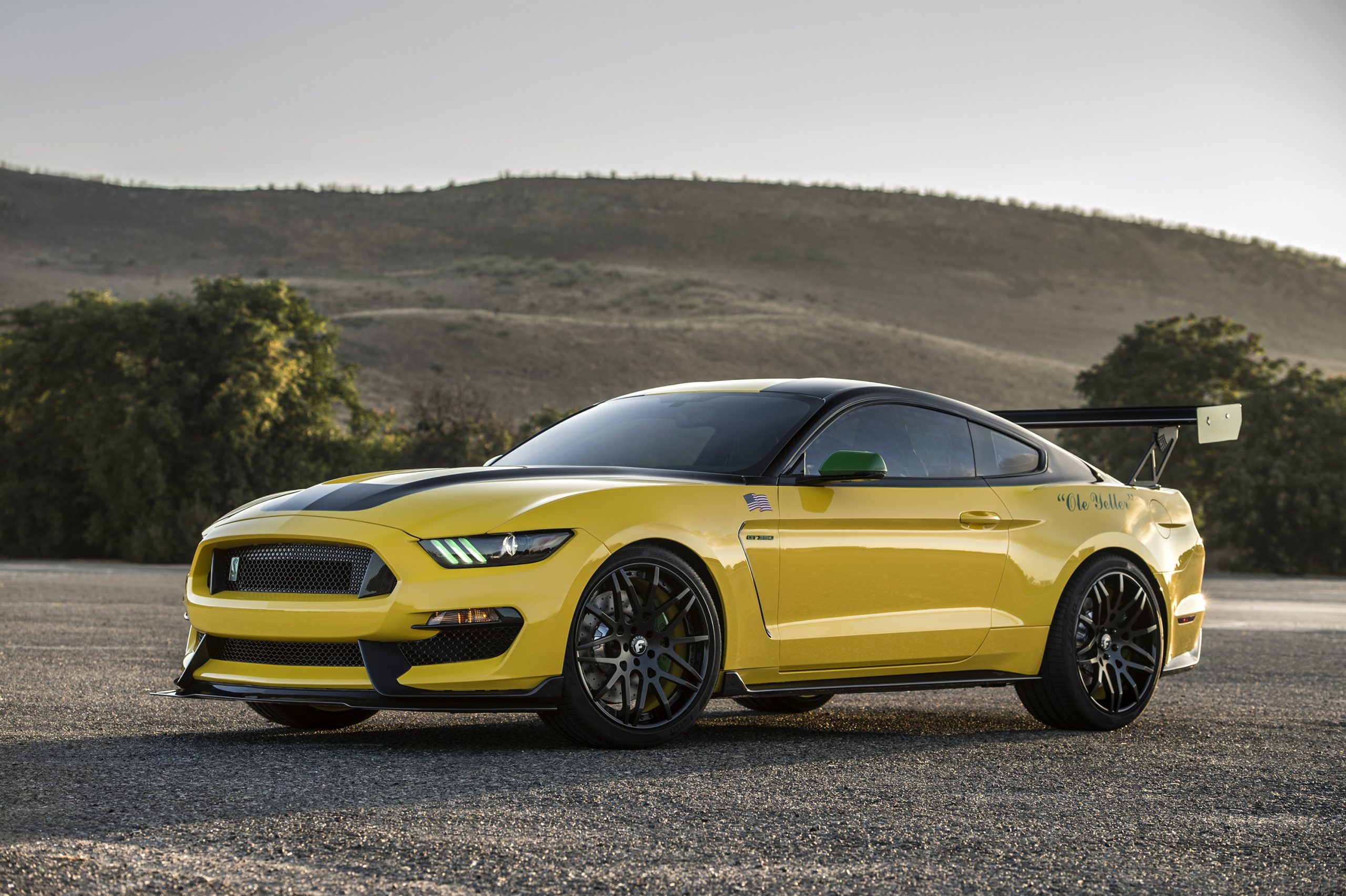 The Ford “Ole Yeller” Mustang 
